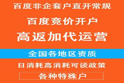 行业领先企业的SEM运营策略案例解析